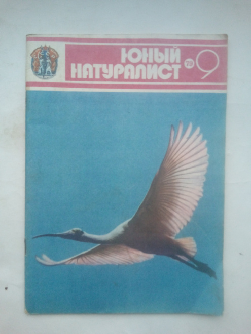 Журнал "Юный натуралист" №9, 1979 г. Изд. "Молодая гвардия", СССР