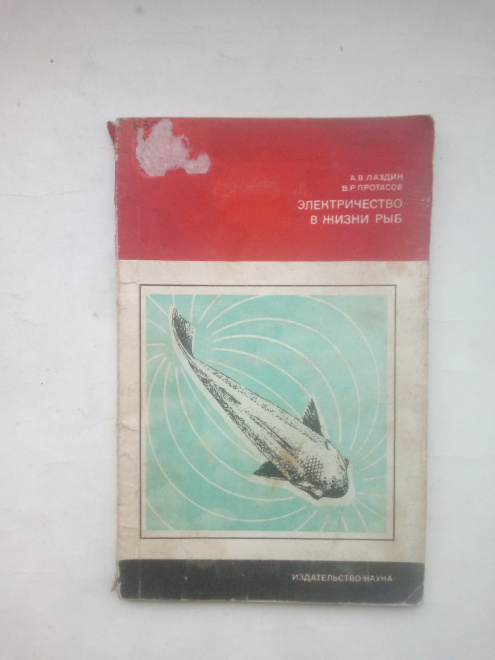 Лаздин, Александр Владимирович - Электричество в жизни рыб Москва : Наука, 1977.