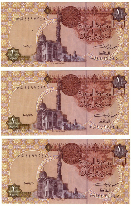 Египет 1 фунт 2002 год ПРЕСС из пачки