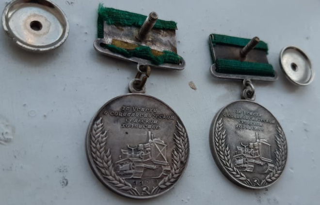 серебряные медали Всесоюзная сельскохозяйственная выставка, пара