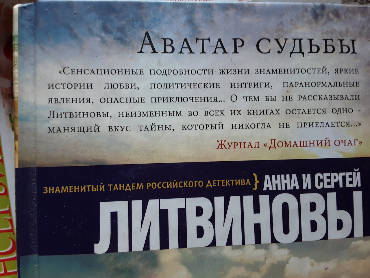 Литвиновы 3 книги фото 4