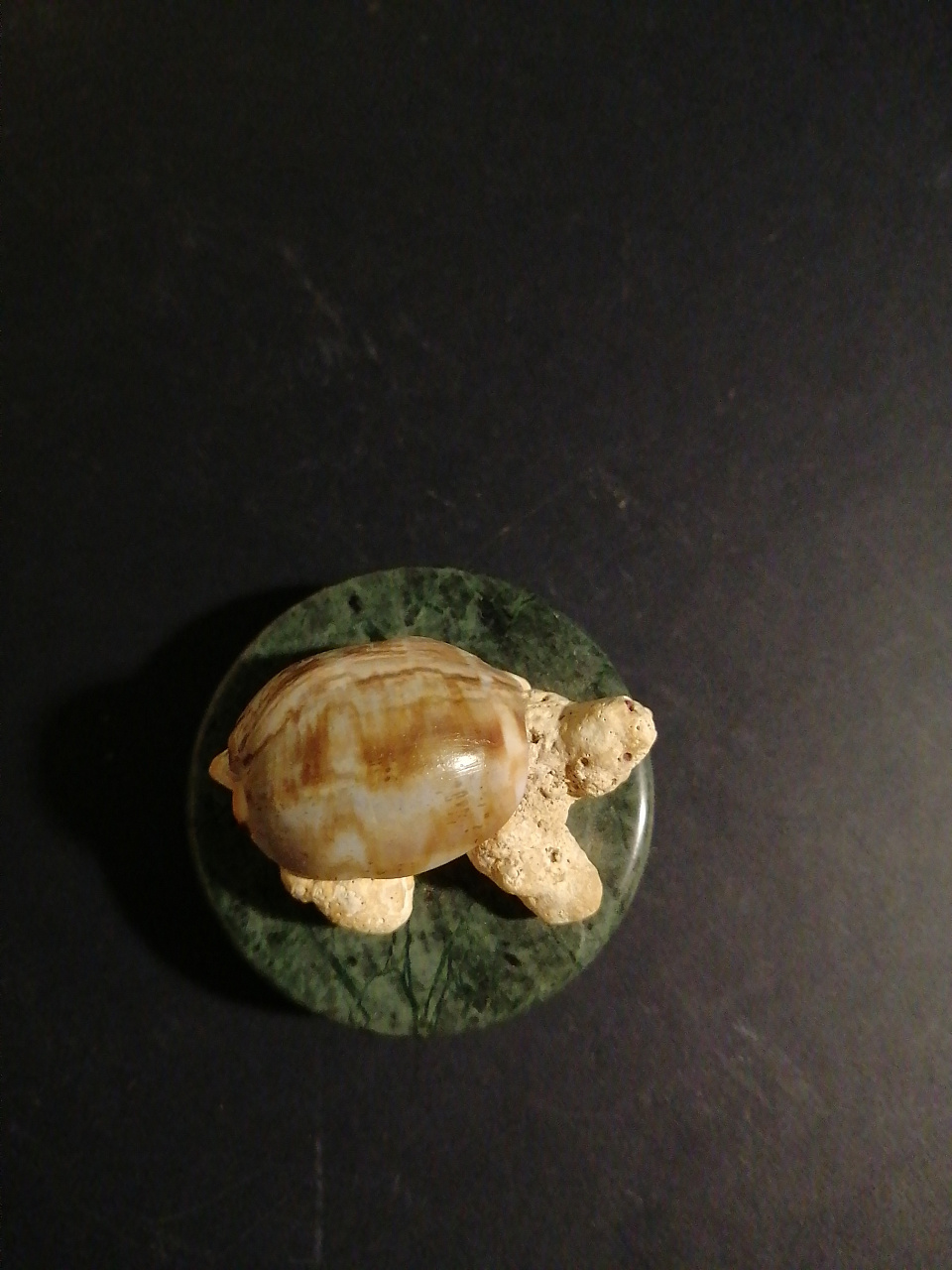 Скульптура черепахи. фото 3