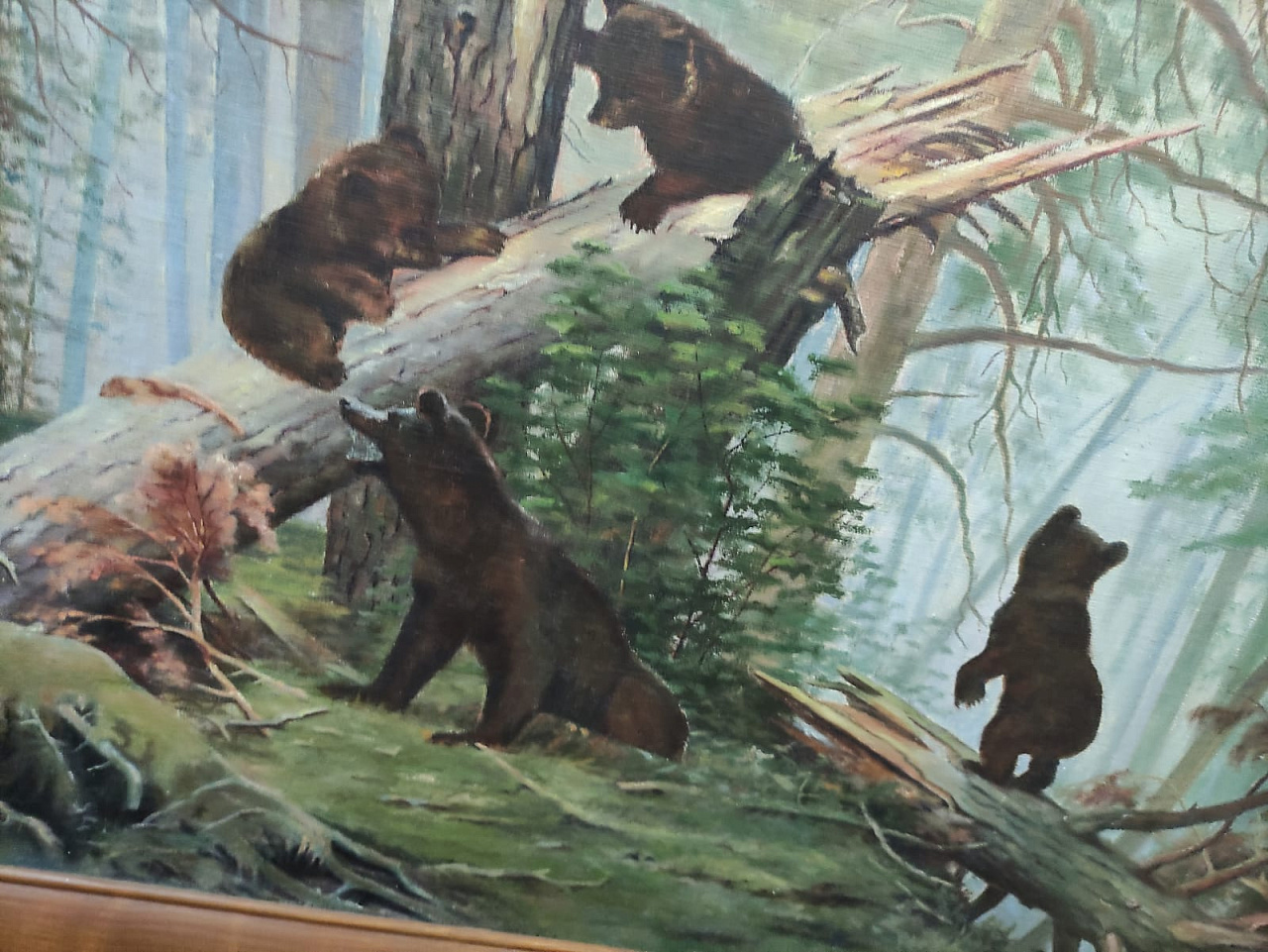картина Утро в сосновом лесу, холст,масло, художник Шишкин, старая копия фото 2