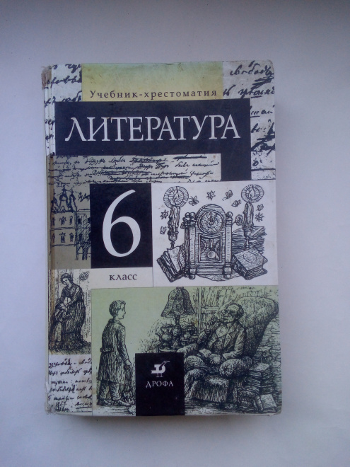 Литература. 6 класс. Учебник-хрестоматия, Т. Ф. Курдюмова