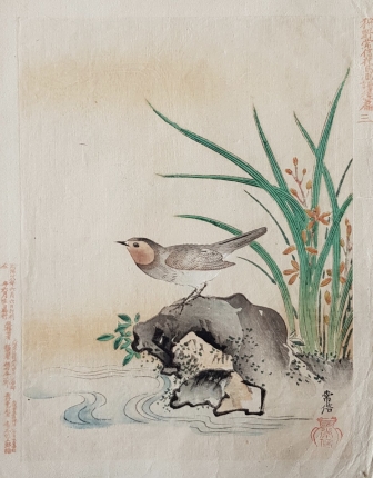  Антикварная японская ксилография эпохи Мэйдзи "На берегу реки. Малиновка и лилии"