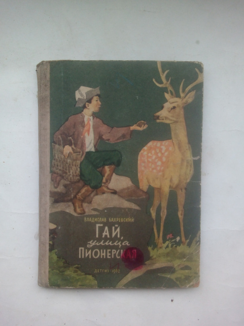 Бахревский, Владислав Анатольевич - Гай, улица Пионерская Детгиз 1962 г.