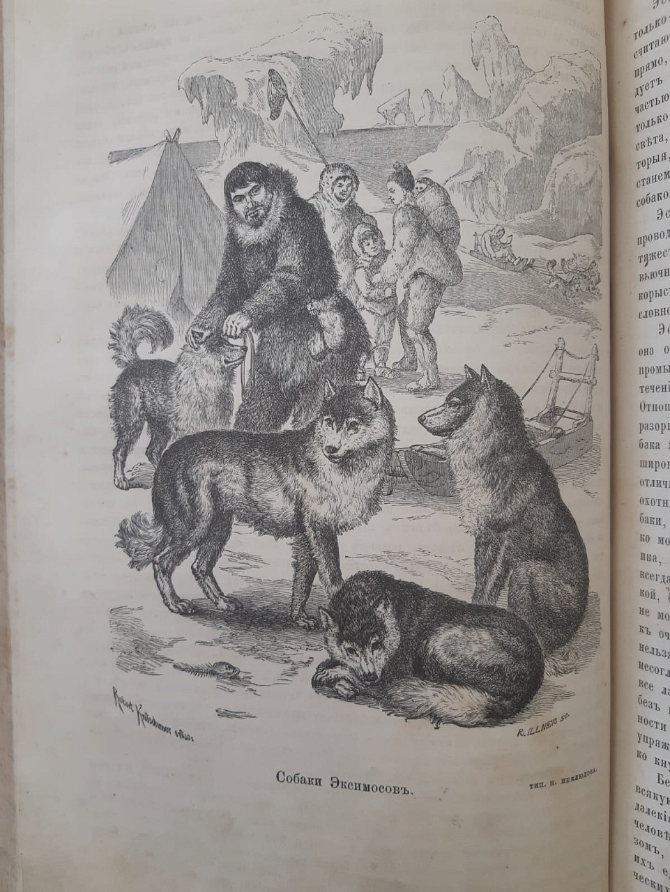 книги 2 тома Жизнь животных, А. Брэм, Петербург 1866 год фото 8