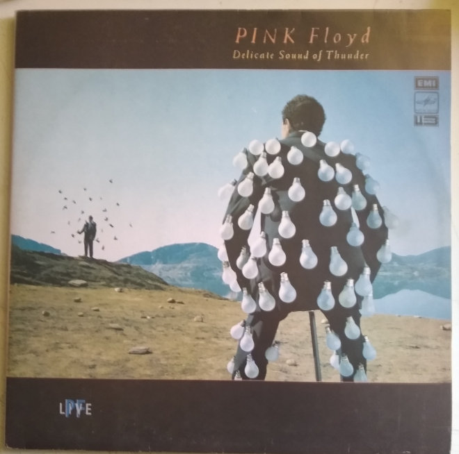 Виниловые пластинки PINK Floyd Delicate Sound of Tbinder, набор 2 шт, выпуск 1991 г.