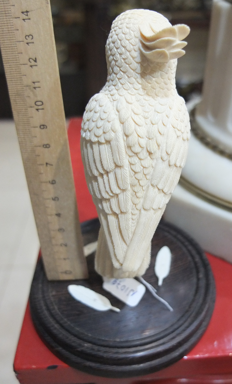 костяная статуэтка Попугай из бивня мамонта, ручная работа фото 6