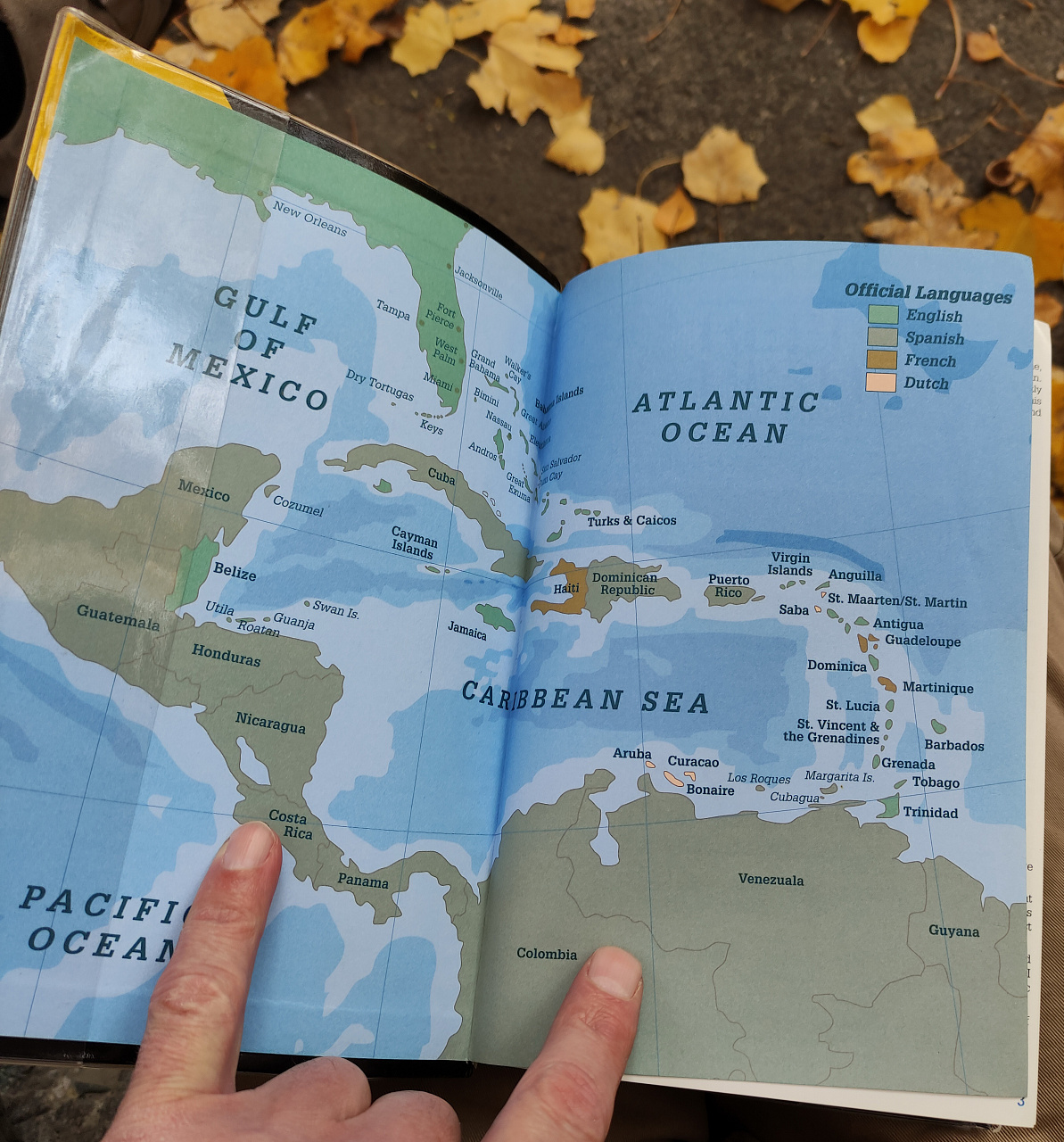 книга каталог Рифовые рыбы Флориды, Карибов, Багам фото 2