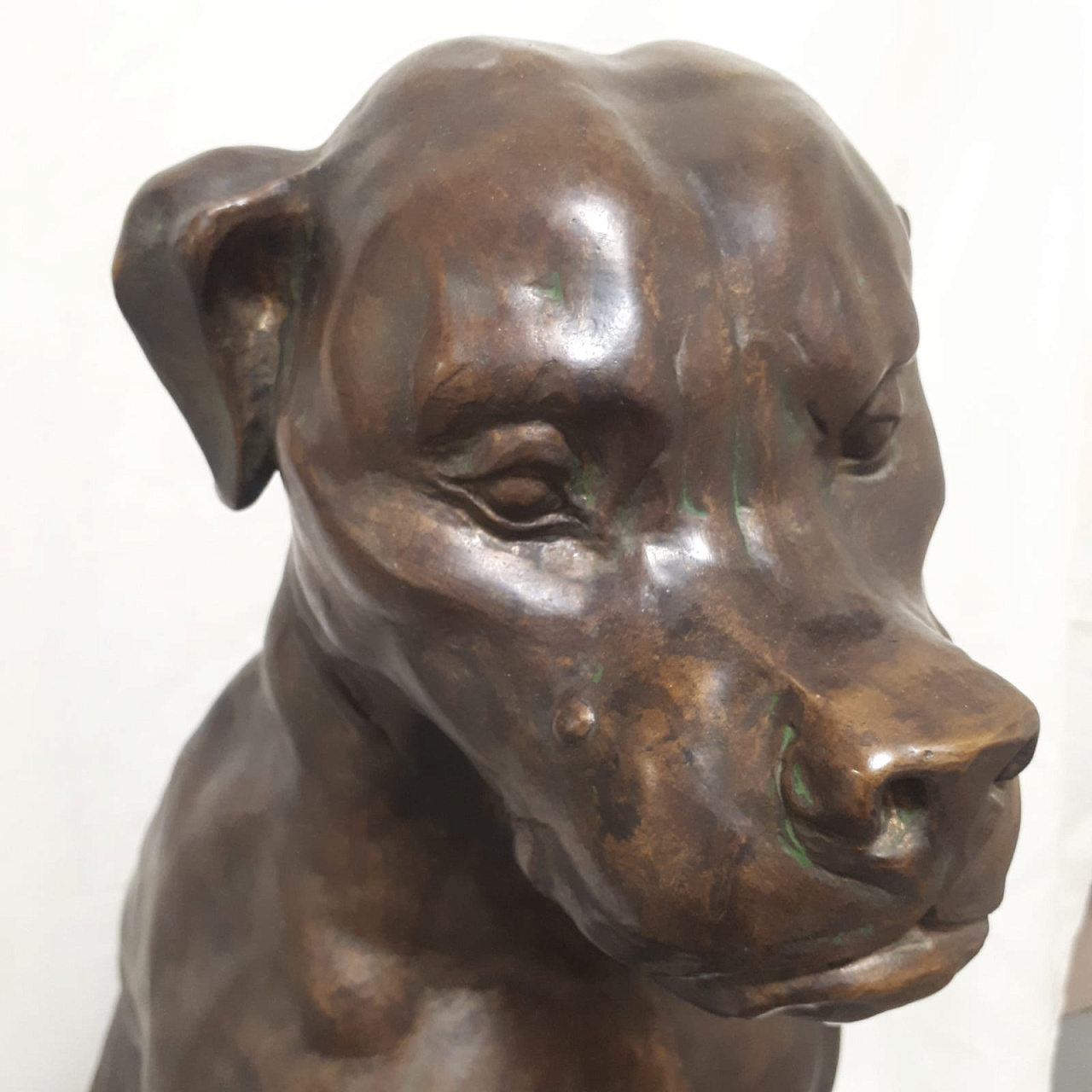 Большая бронзовая скульптура Собака фото 2