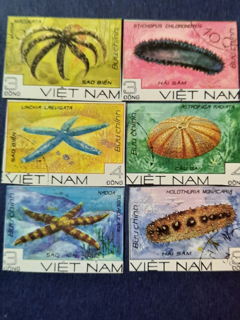 Набор из 6 -ти  марок  Вьетнама " Морская донная фауна ."