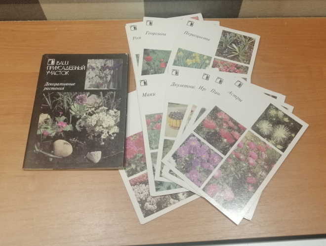 Набор открыток Ваш приусадебный участок Декоративные растения 1987 полный 18шт