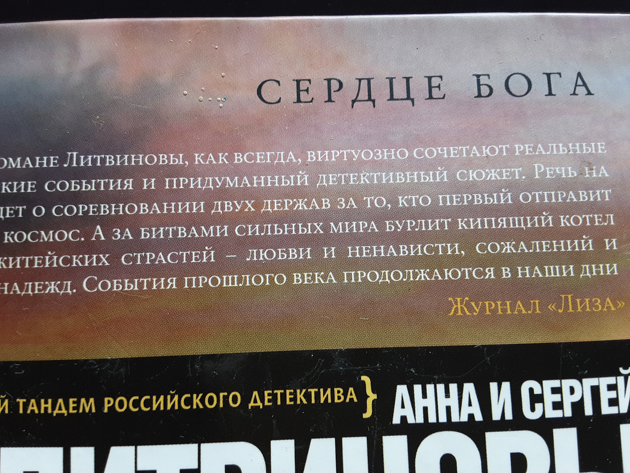 Литвиновы 3 книги фото 2