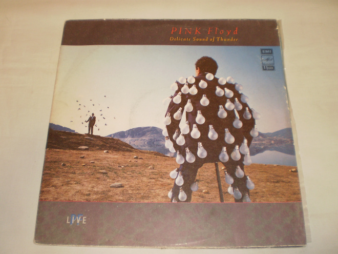 Pink Floyd - Delicate Sound Of Thunder - 2LP - RU