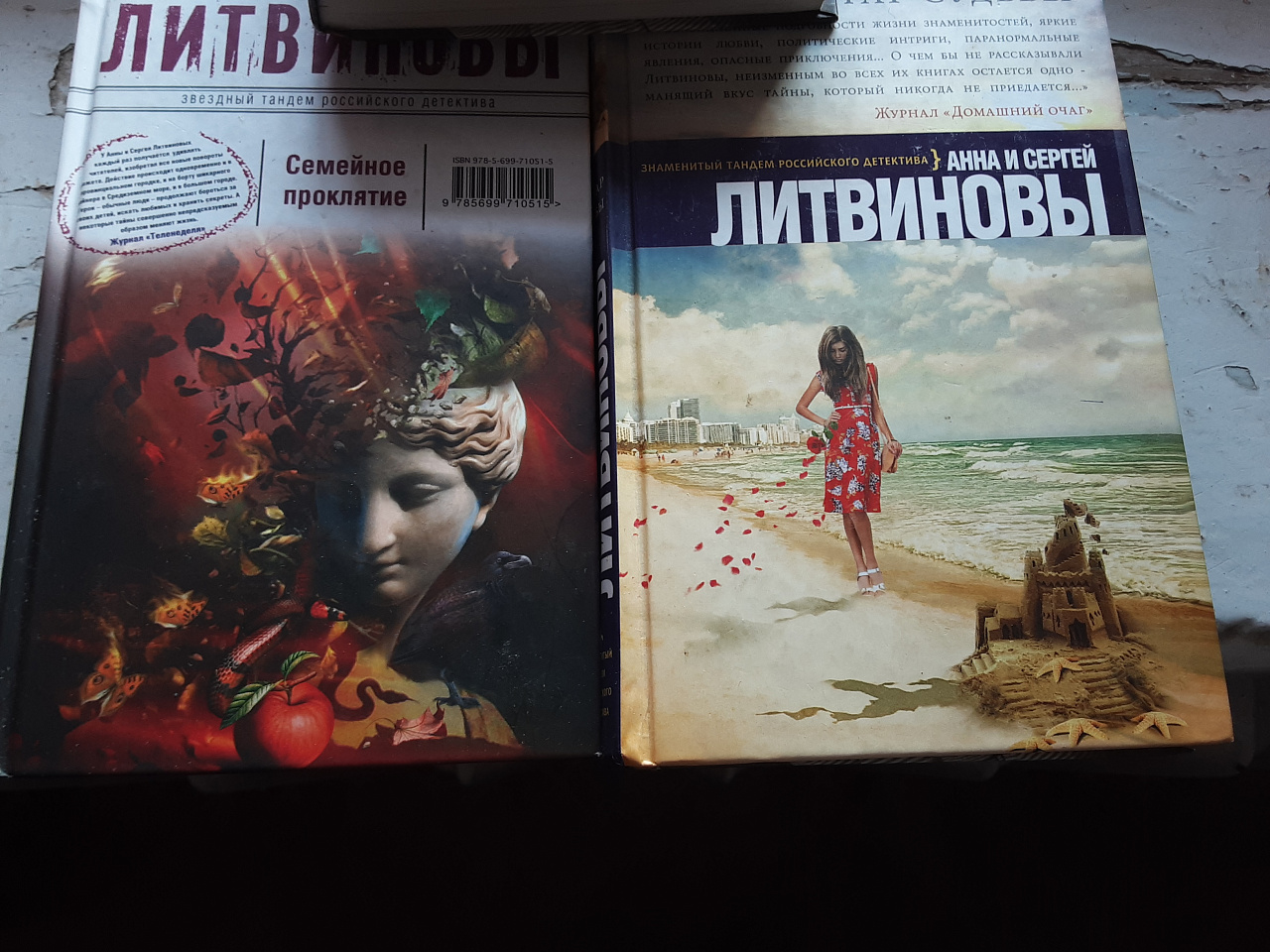 Литвиновы 3 книги фото 5