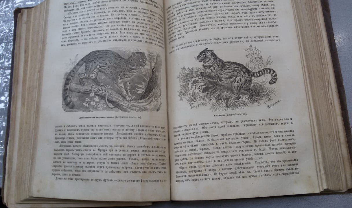 книги 2 тома Жизнь животных, А. Брэм, Петербург 1866 год фото 7