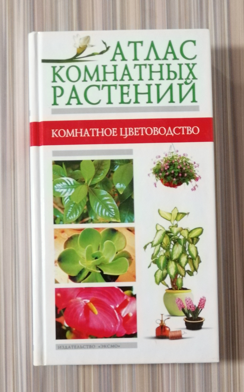 Лимаренко А.Ю., Палеева Т.В. "Атлас комнатных растений" 2004г. (КН20)