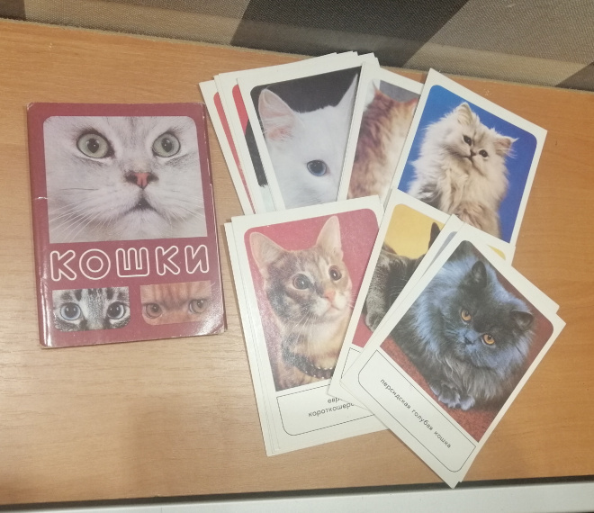 Набор открыток Кошки 1989 год 18 открыток полный