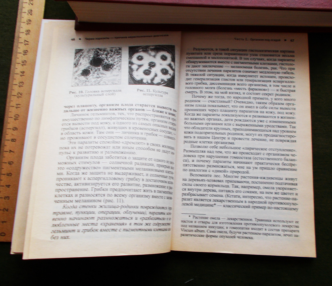 О.И. Елисеева. Черви-паразиты. Причина нераспознанных диагнозов. Онкология.  Гельминты - купить в городе Курск на интернет-аукционе Auck.ru