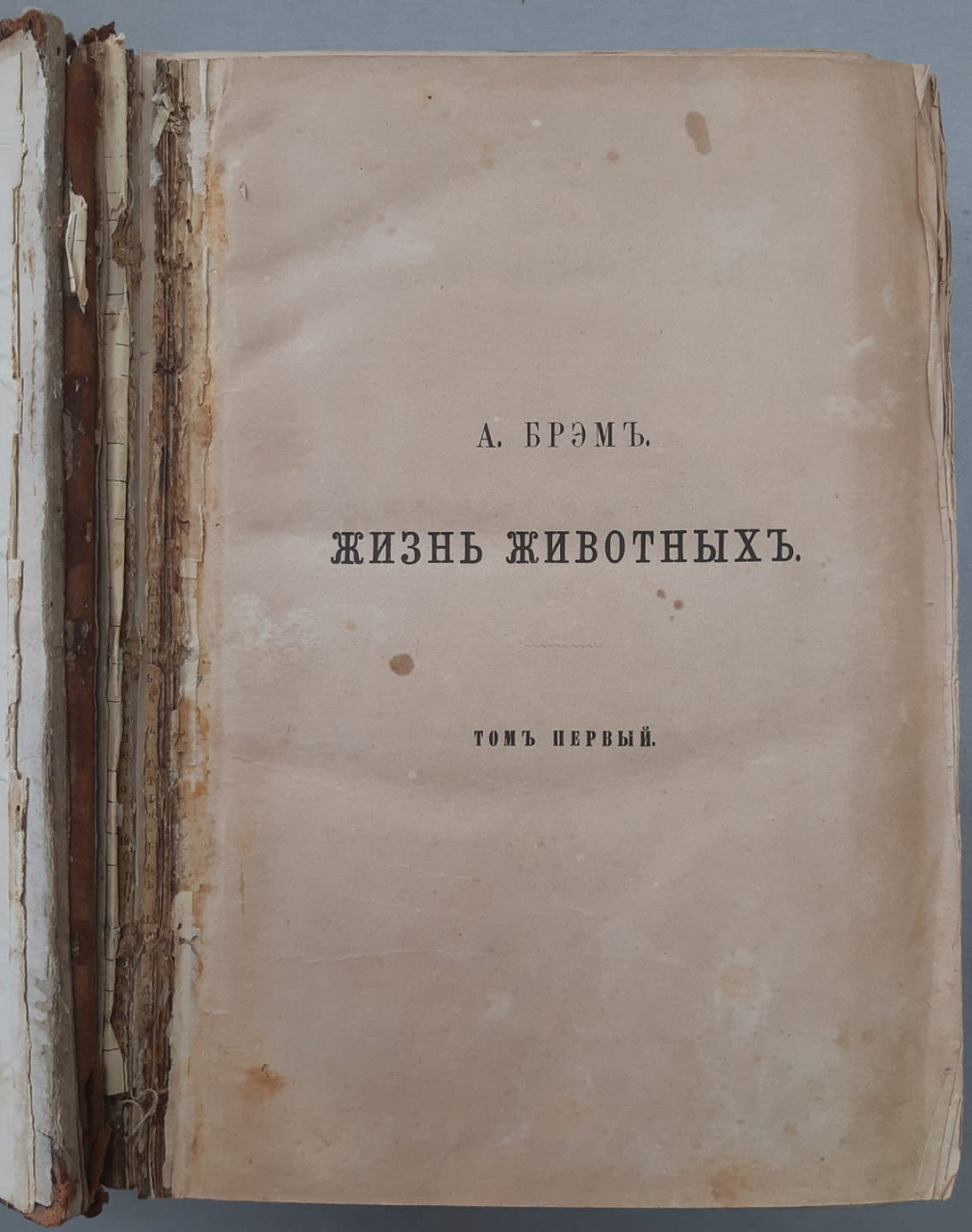 книги 2 тома Жизнь животных, А. Брэм, Петербург 1866 год фото 5